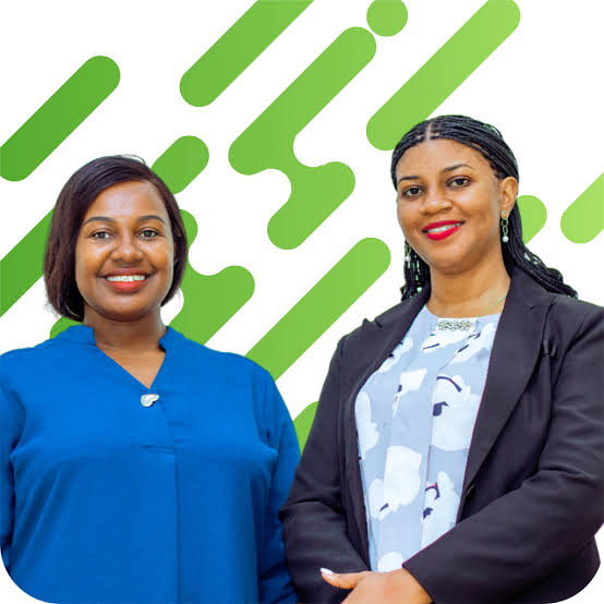 Expert Team